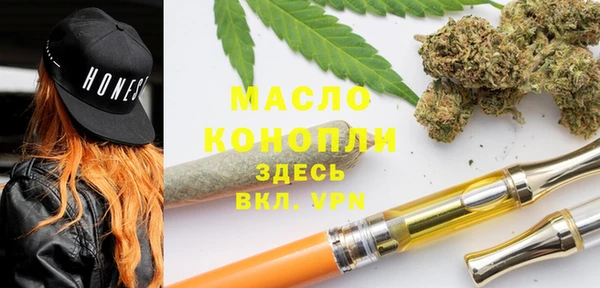 молекула духа Волоколамск