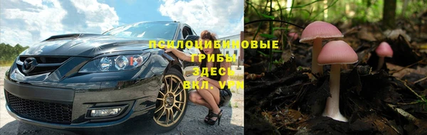 мяу мяу мука Бородино
