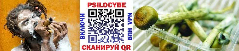 Псилоцибиновые грибы ЛСД Купить закладки Микунь